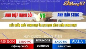 TRẬN 15 TONHON NGÀY 14/11/2025