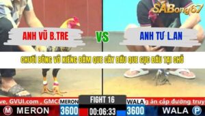 TRẬN 16 CPC6 NGÀY 1/11/2025