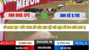 TRẬN 18 TONHON 28/11/2025