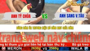 TRẬN 20 CPC5 NGÀY 20/11/2025