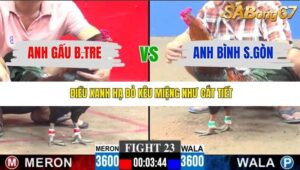 TRẬN 23 CPC3 30/11/2025