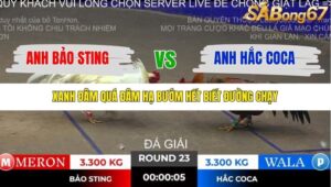 TRẬN 23 TONHON 2/11/2025