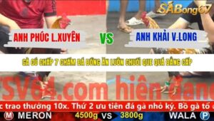 TRẬN 24 CPC5 NGÀY 13/11/2025