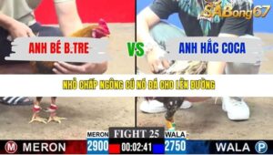 TRẬN 25 CPC3 30/11/2025