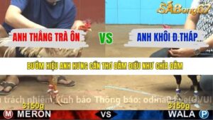 TRẬN 25 CPC4 27/11/2025