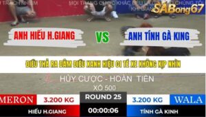 TRẬN 25 TONHON 28/11/2025