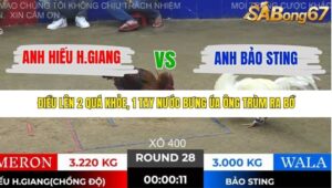 TRẬN 28 TONHON 28/11/2025