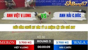 TRẬN 3 TONHON 28/11/2025