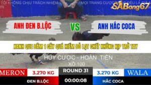 TRẬN 31 TONHON 28/11/2025