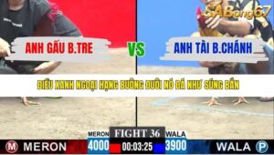 TRẬN 36 CPC3 30/11/2025