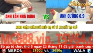 TRẬN 36 CPC5 NGÀY 13/11/2025