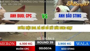 TRẬN 39 TONHON 28/11/2025