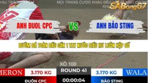 TRẬN 41 TONHON 28/11/2025