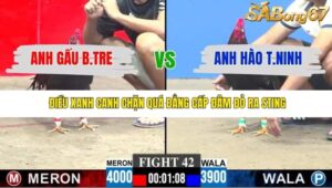 TRẬN 42 CPC3 30/11/2025