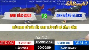 TRẬN 42 TONHON 28/11/2025