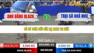 TRẬN 44 TONHON NGÀY 14/11/2025