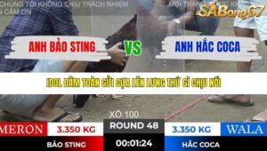 TRẬN 48 TONHON 28/11/2025