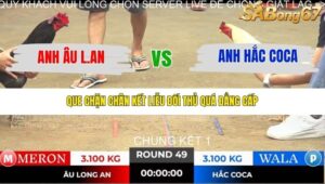 TRẬN 49 TONHON NGÀY 14/11/2025