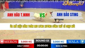 TRẬN 53 TONHON NGÀY 14/11/2025