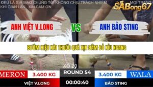 TRẬN 54 TONHON 28/11/2025