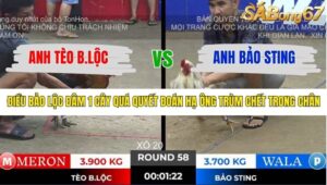 TRẬN 58 TONHON 28/11/2025