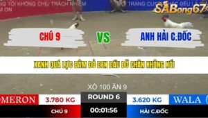 TRẬN 6 TONHON 28/11/2025