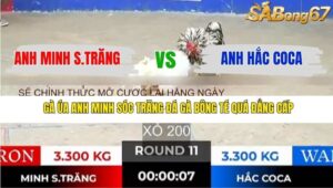 TRẬN 11 TONHON 31/12/2025