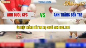 TRẬN 2 TONHON 31/12/2025