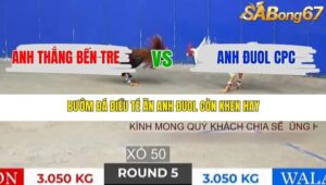 TRẬN 5 TONHON 31/12/2025