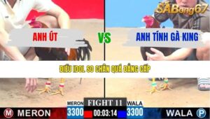 TRẬN 11 CPC3 21/12/2025