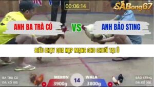 TRẬN 14 XÀ XÍA 19/12/2025