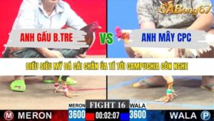 TRẬN 16 CPC3 7/12/2025