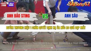 TRẬN 16 TONHON 3/12/2025