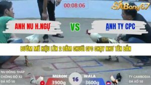 TRẬN 16 XÀ XÍA 28/12/2025