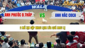 TRẬN 17 TONHON 10/12/2025