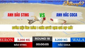 TRẬN 18 TONHON 19/12/2025