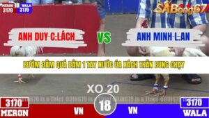 TRẬN 18 TONHON 4/12/2025