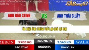 TRẬN 19 TONHON 10/12/2025