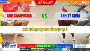 TRẬN 19 TONHON 24/12/2025