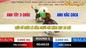 TRẬN 2 TONHON 19/12/2025