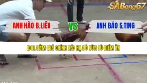 TRẬN 2 XÀ XÍA 19/12/2025