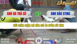 TRẬN 23 XÀ XÍA 19/12/2025