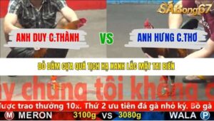 TRẬN 24 CPC5 4/12/2025