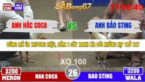 TRẬN 26 TONHON 3/12/2025