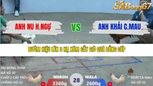 TRẬN 28 XÀ XÍA 28/12/2025