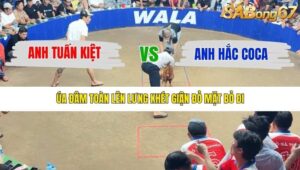 TRẬN 35 TONHON 10/12/2025