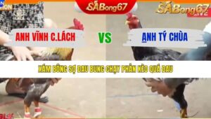 TRẬN 39 TONHON 24/12/2025