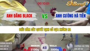 TRẬN 43 XÀ XÍA 19/12/2025