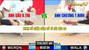 TRẬN 49 CPC3 28/12/2025