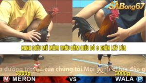 TRẬN 5 CPC4 24/12/2025